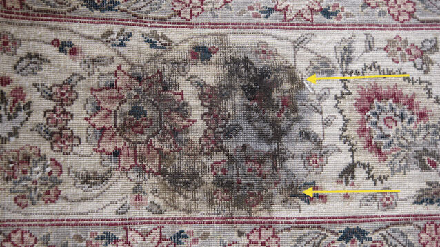 How can I tell if my Persian rug has ‘Dry Rot’ and can it be saved by professional washing?